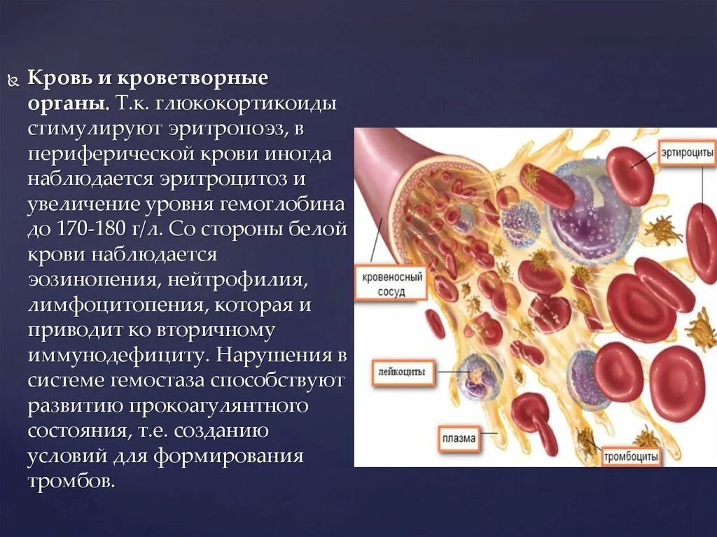 Кровь и кроветворные органы. Эритропоэз стимулируют:. Кроветворная для презентации.