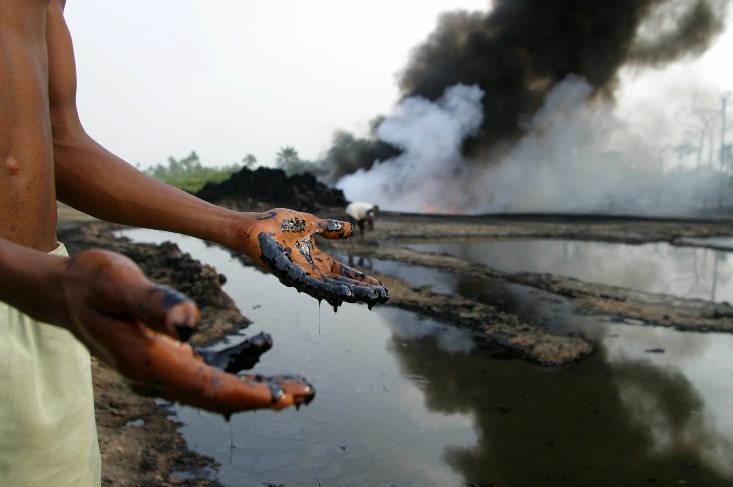 Природные разливы нефти. Разлив нефти в дельте реки нигер. Загрязнение природы человеком. Последствия нефтяного загрязнения. Загрязнение нефтью.