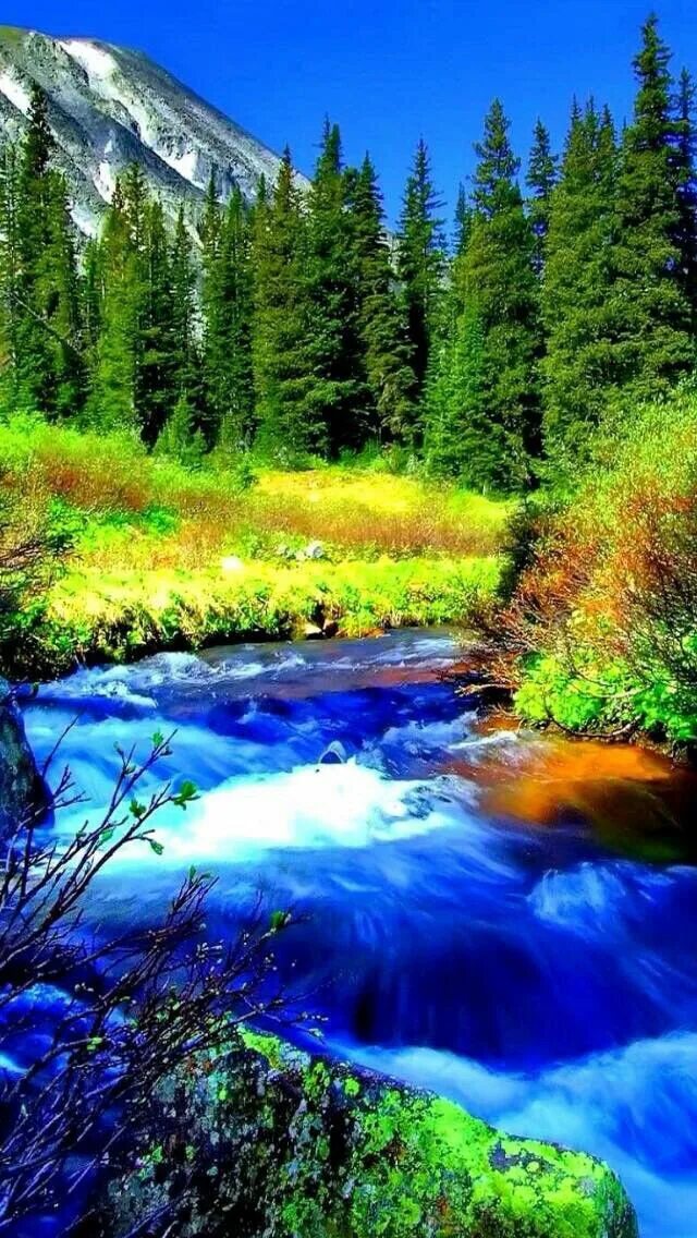 Яркая природа. Яркие пейзажи природы. Красота природы. Яркий пейзаж. Цветной природа.