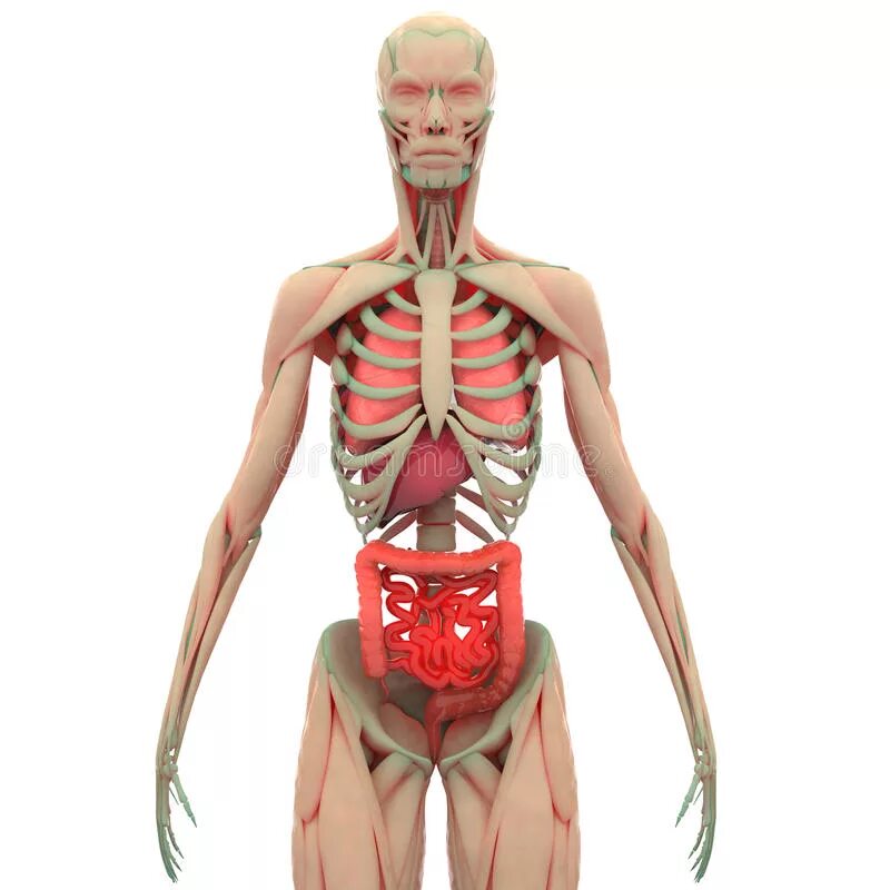 Small human. Small human. Человек держит человека на руках. Small human. Small human.