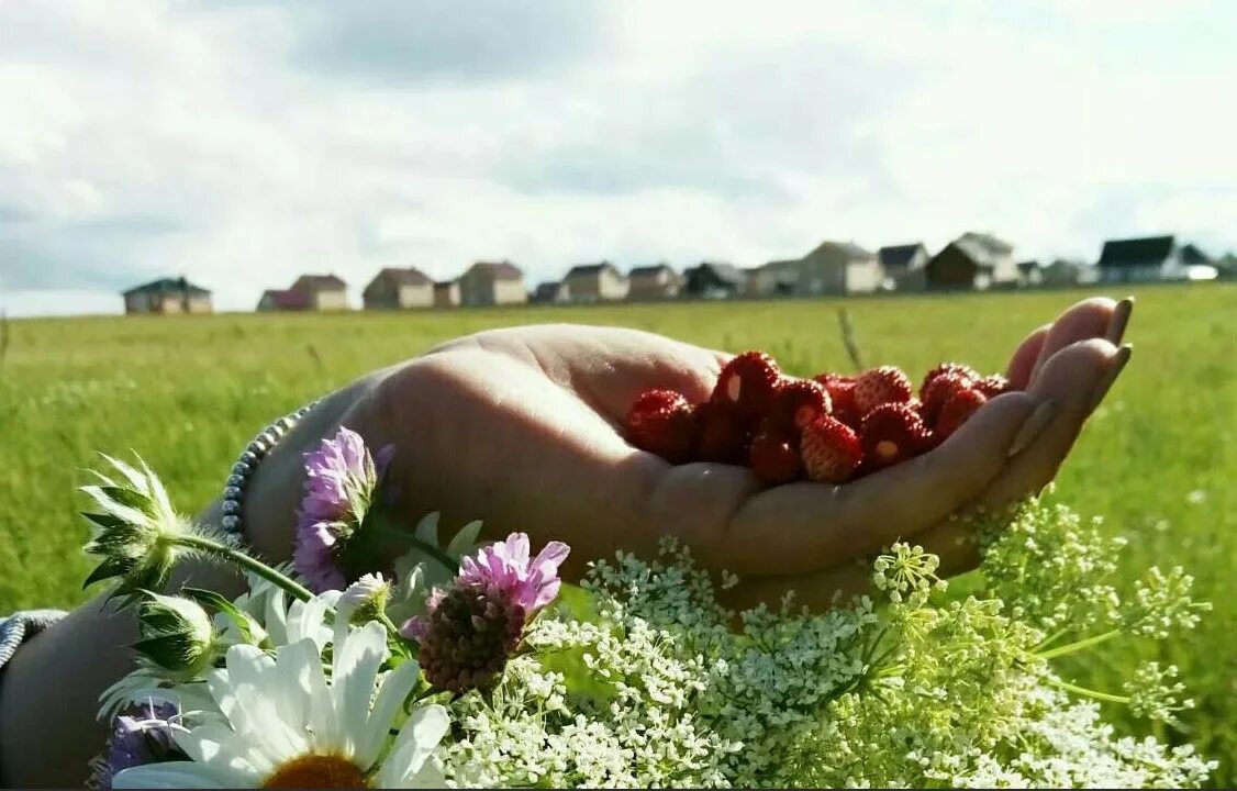 Буду помнить это лето. Середина лета. Аромат лета. Яркие моменты лета. Запах лета и травы.