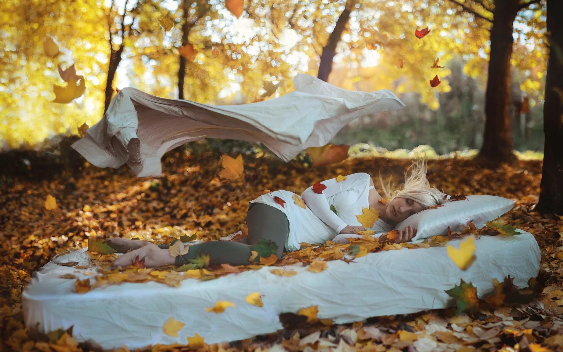 Осенние фотосессии на кровати. Осенний сон. Осенняя фотосессия в лесу с одеялом. Сон в осеннем лесу. Группа листья времени