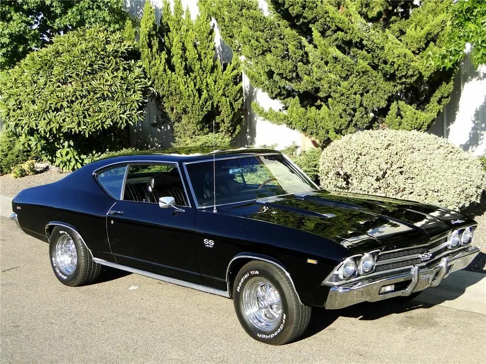 Шевить. Chevrolet Chevelle SS 1969. Chevrolet Chevelle 69. 1969 Chevrolet Chevelle SS 396. Chevrolet SS 69.