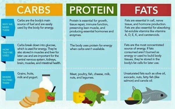 Белки жиры углеводы на англ. Углеводы на английском. Белки жиры и углеводы in English. Proteins fats carbohydrates. Different uses of like