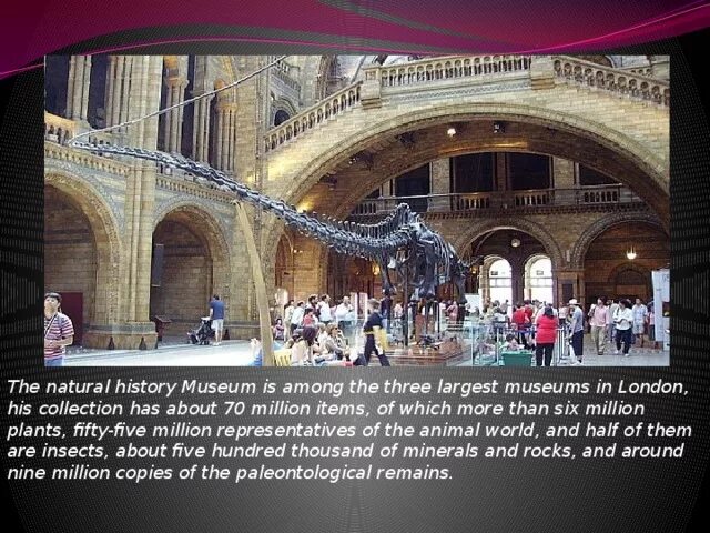 What time the museums open
