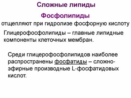Цель липидов