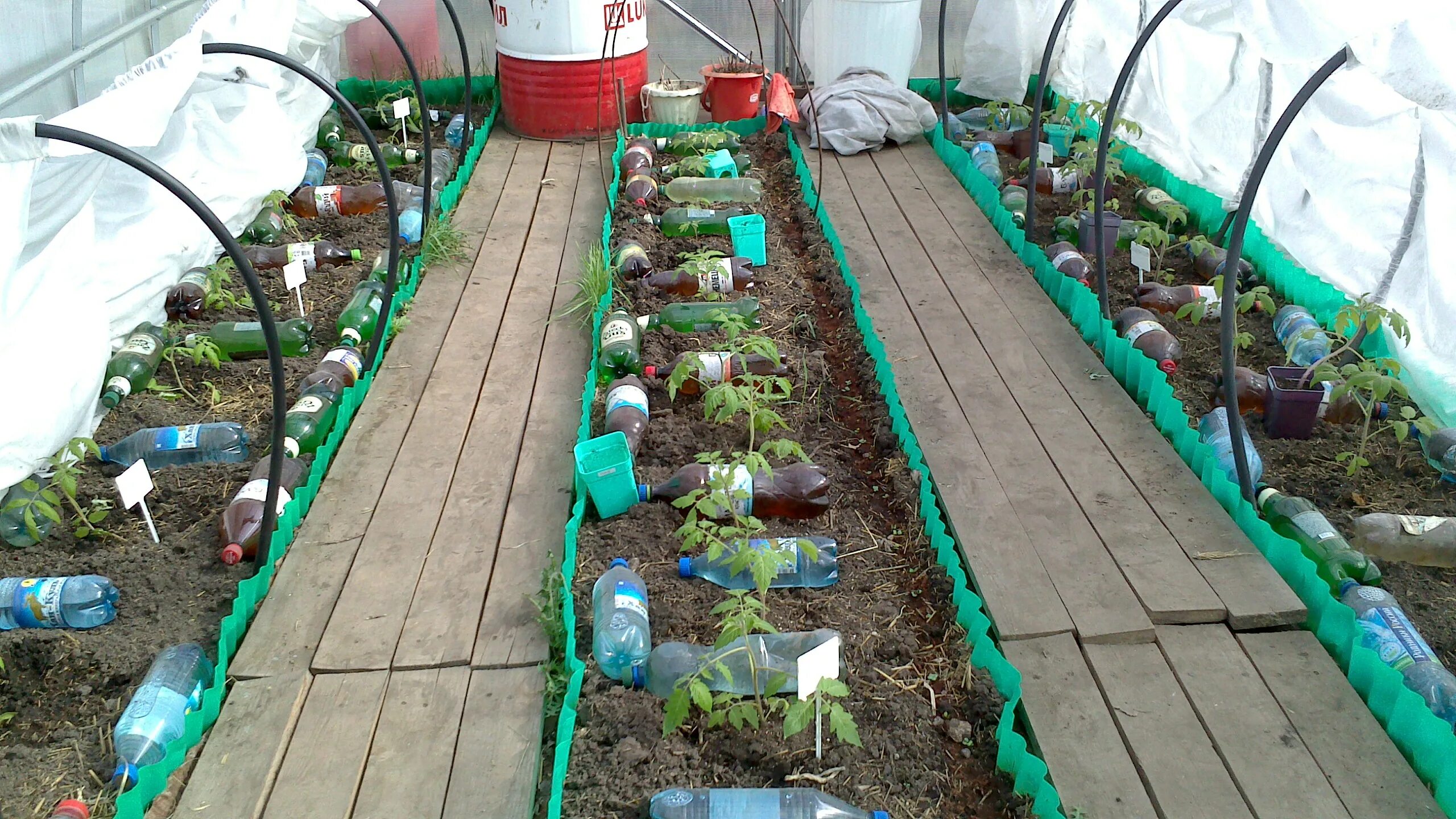Ограждение грядок из пластиковых бутылок. Грядки из пластиковых бутылок. Клубника в пластиковых бутылках. Грядки из пластиковых бутылок. Грядки из пластиковых бутылок.