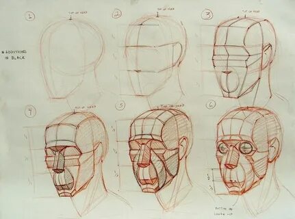 Рисунок головы в разных ракурсах.