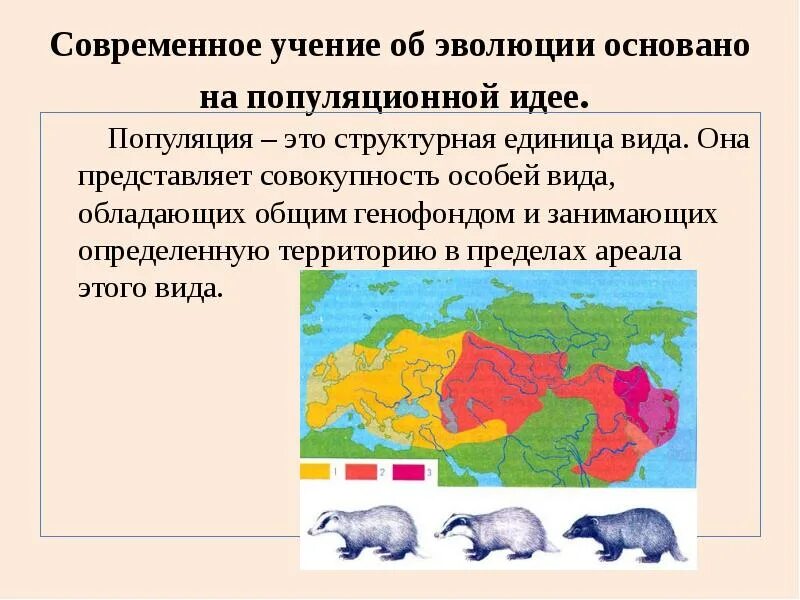 Популяция представляет собой общую территорию