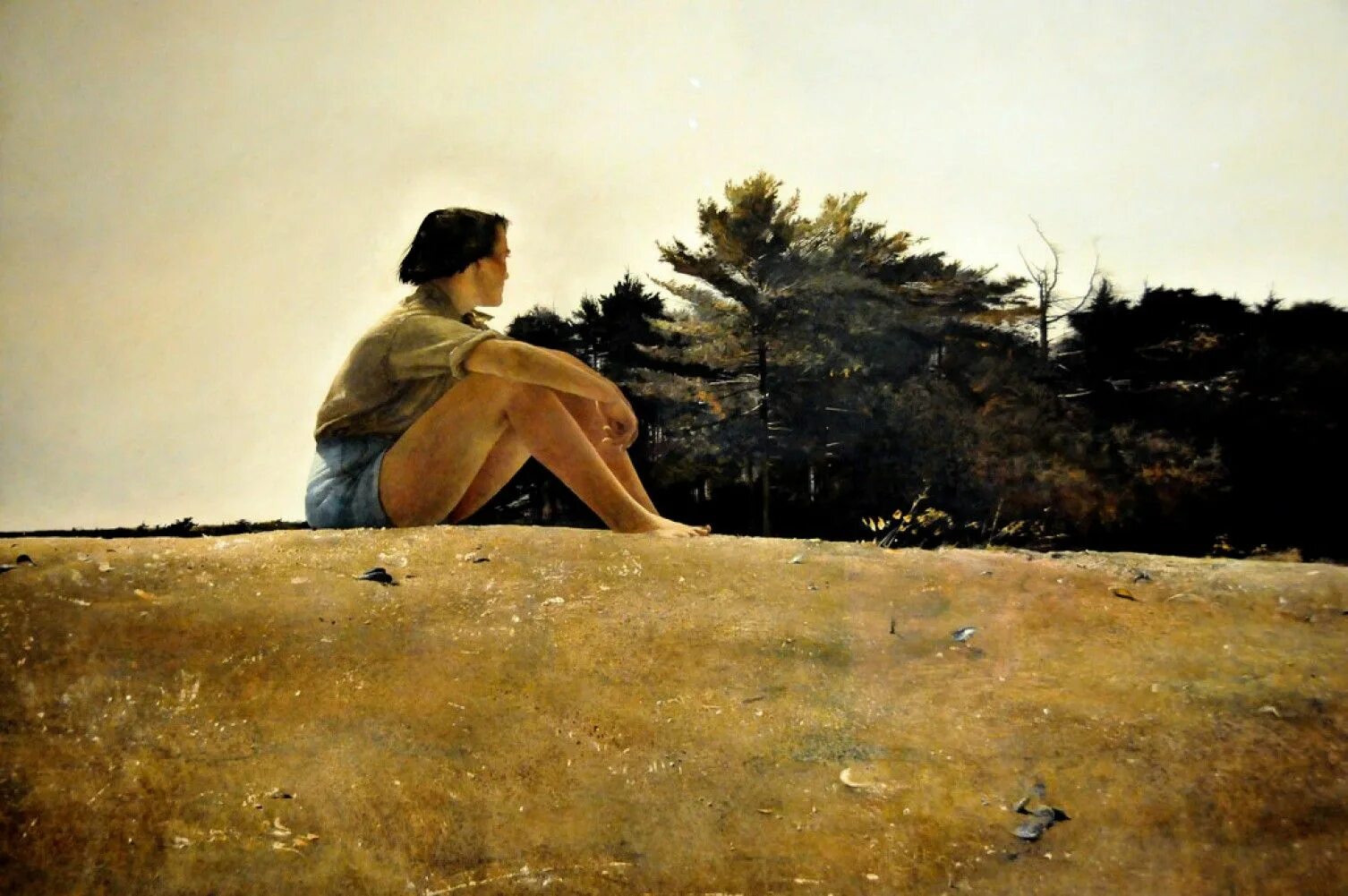 Картины эндрю. Картины Эндрю Уайета. Andrew Wyeth художник. Э́ндрю Нью́элл Уа́йет. Эндрю Ньюэлл Уайет Andrew Newell Wyeth (1917 - 2009).