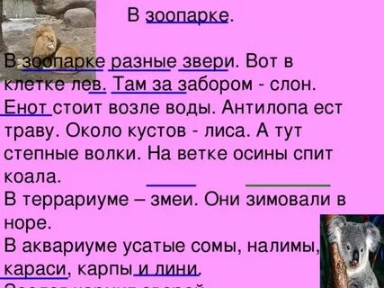 В зоопарке мы видели