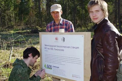 Индекс звенигород