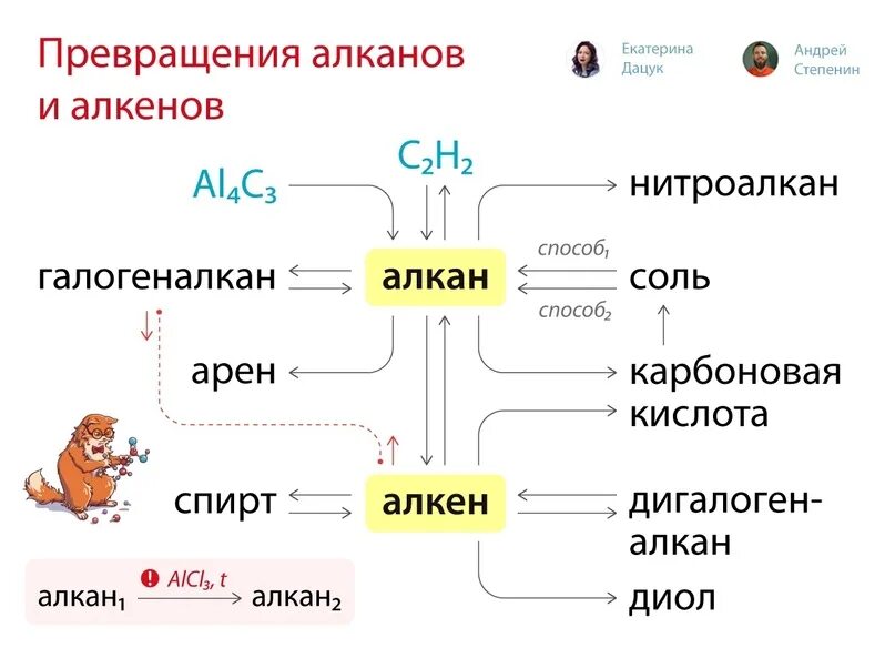 Варианты дацук и андреем степениным