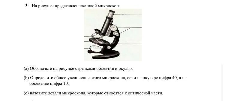 Увеличение окуляра и объектива у микроскопа. Цифры на окуляре микроскопа. Обозначение увеличения микроскопа. Увеличение светового микроскопа. Во сколько раз увеличивает объектив микроскопа