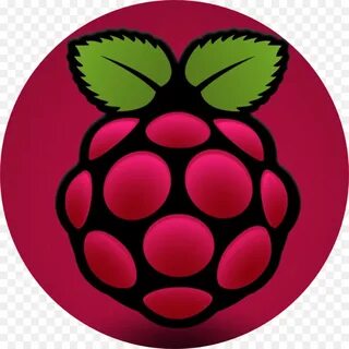 Raspbian pi