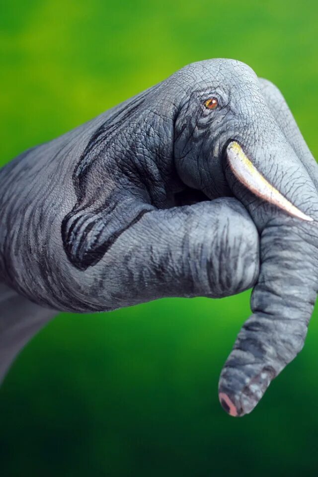 Elephant перевод. Слон с руками. Слоненок на руках. Слон альбом.