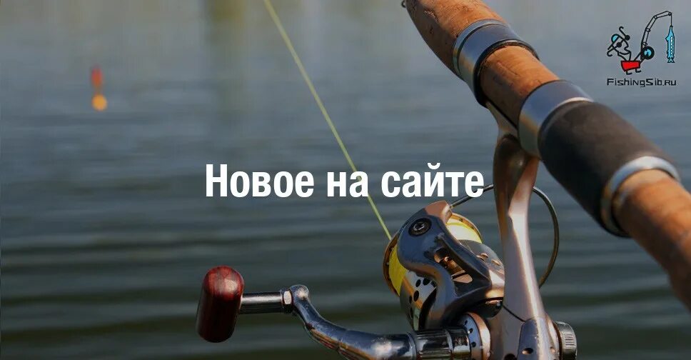 Ловит м