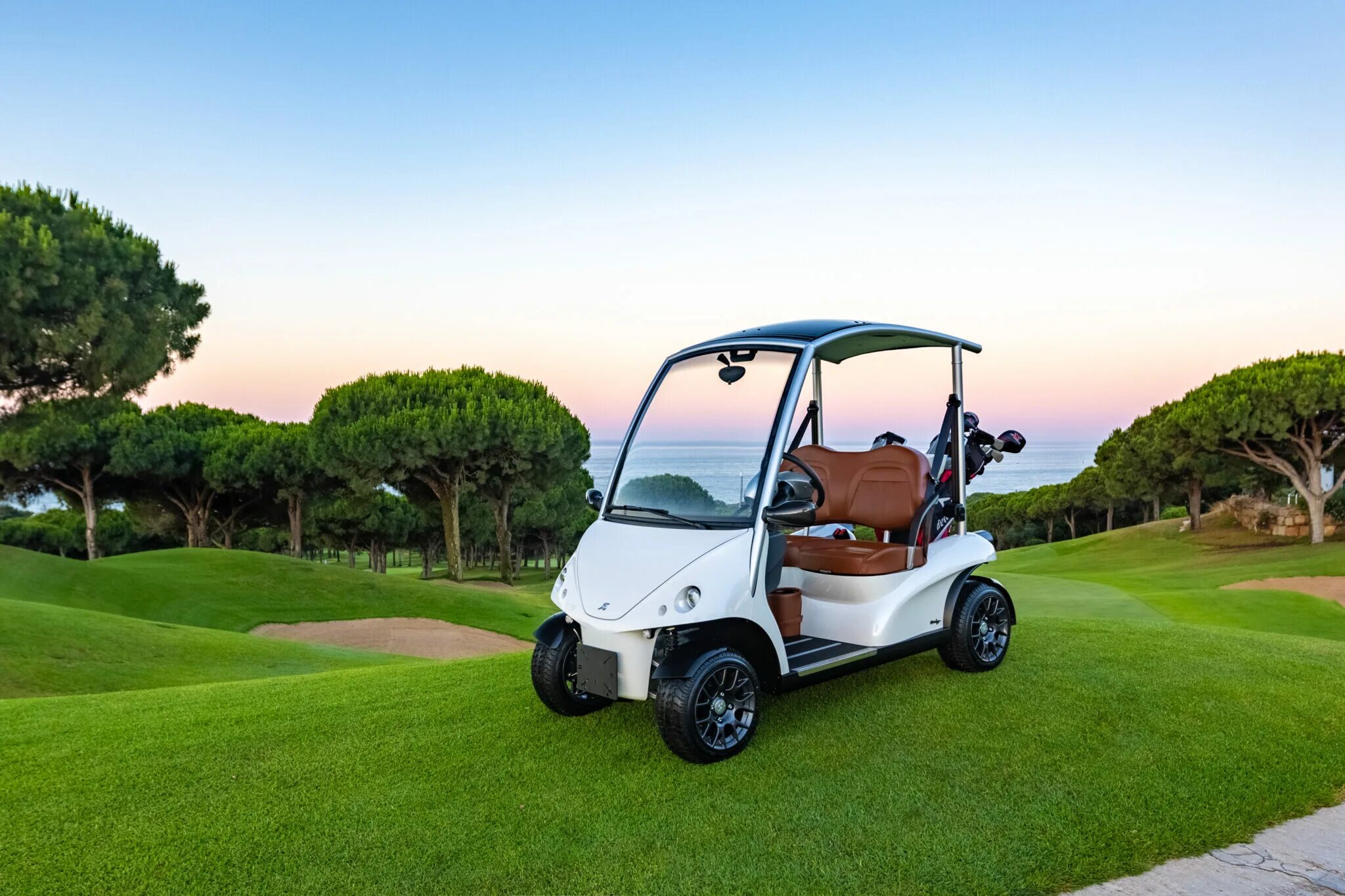 Гольф кар тройка. Гольфкар gem model e6. Yamaha g29 golf cart. Гольфкар 2022. Cushman shuttle 6.