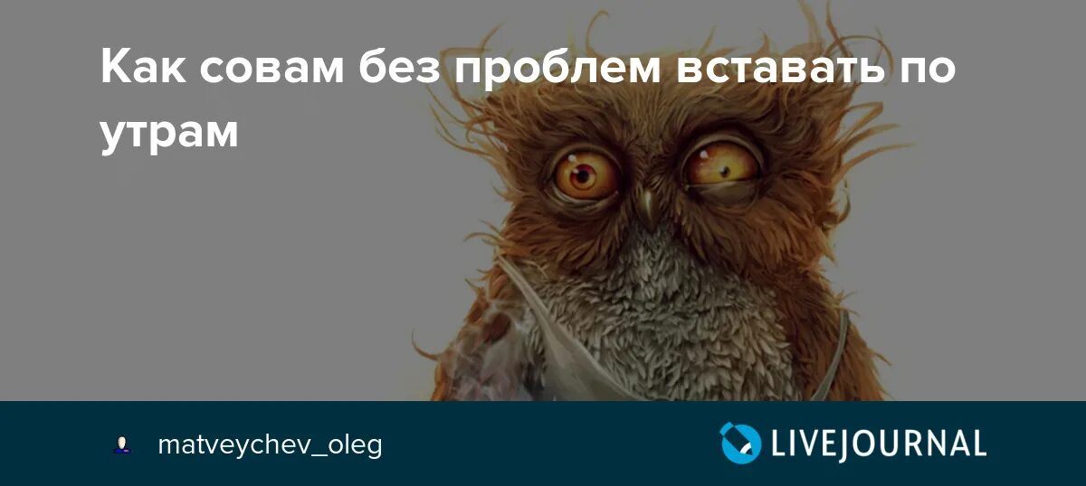 Как просыпаться без проблем. Как проснуться рано утром. Девушка проснулась. Девушка проснулась. Причины просыпаться рано.