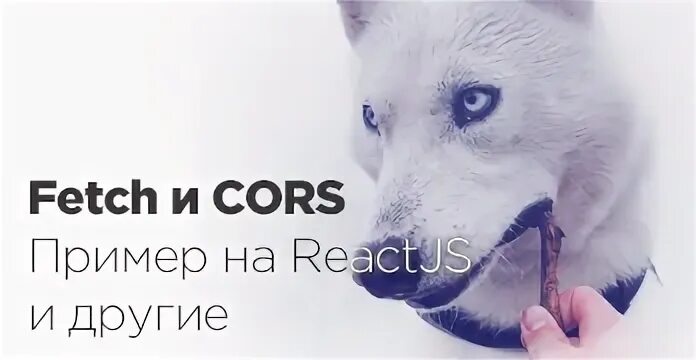 Fetch no cors. Fetch no cors