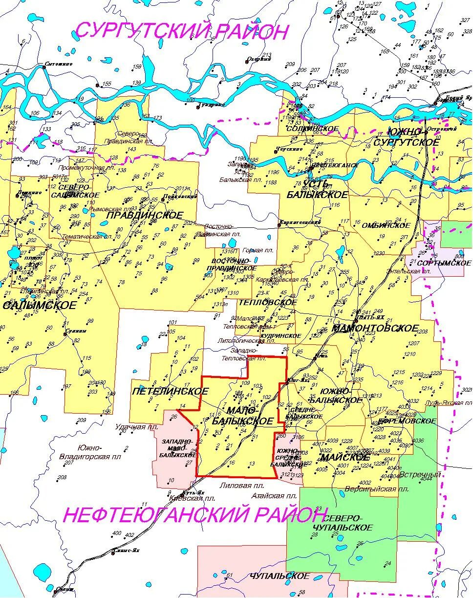 Обзорная карта месторождений Нефтеюганского района. Карта месторождений ХМАО. Карта месторождений Нефтеюганского района. Майское месторождение ХМАО на карте.