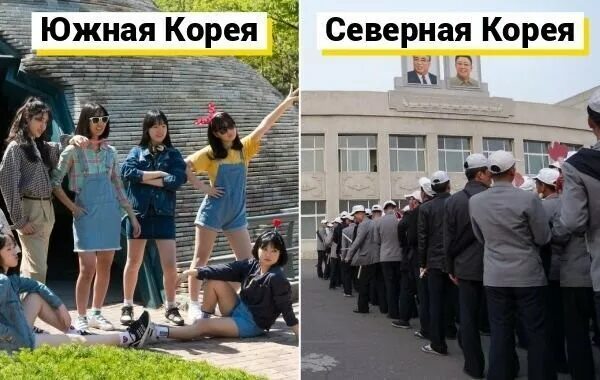 Флаг северной кореи и южной кореи. Северные безлесные зоны презентация. Северные корейцы и южные отличия. Чем отличаются северные. Чем отличаются северные.