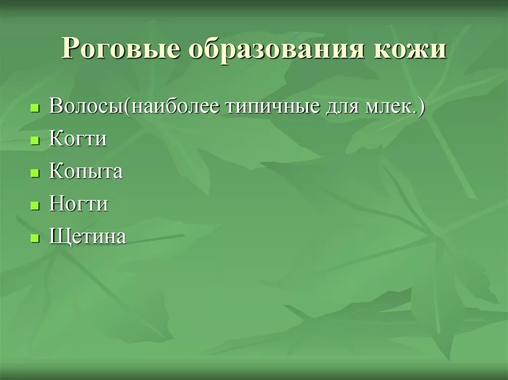 4 роговые образования кожи. Роговые образования кожи. перечислите роговые образования кожи. кожные роговые образования это у человека.