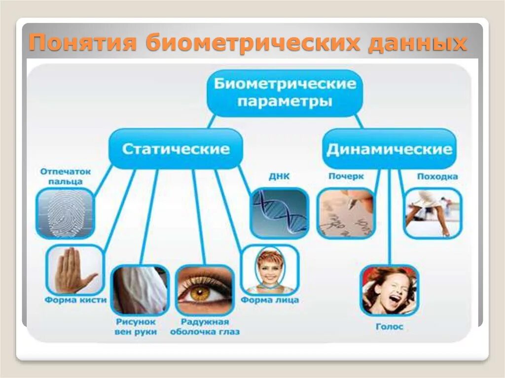 Биометрические данные что это такое