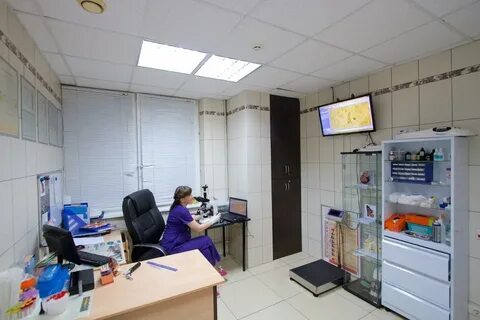 Дарвин ветклиника ульяновск верхняя