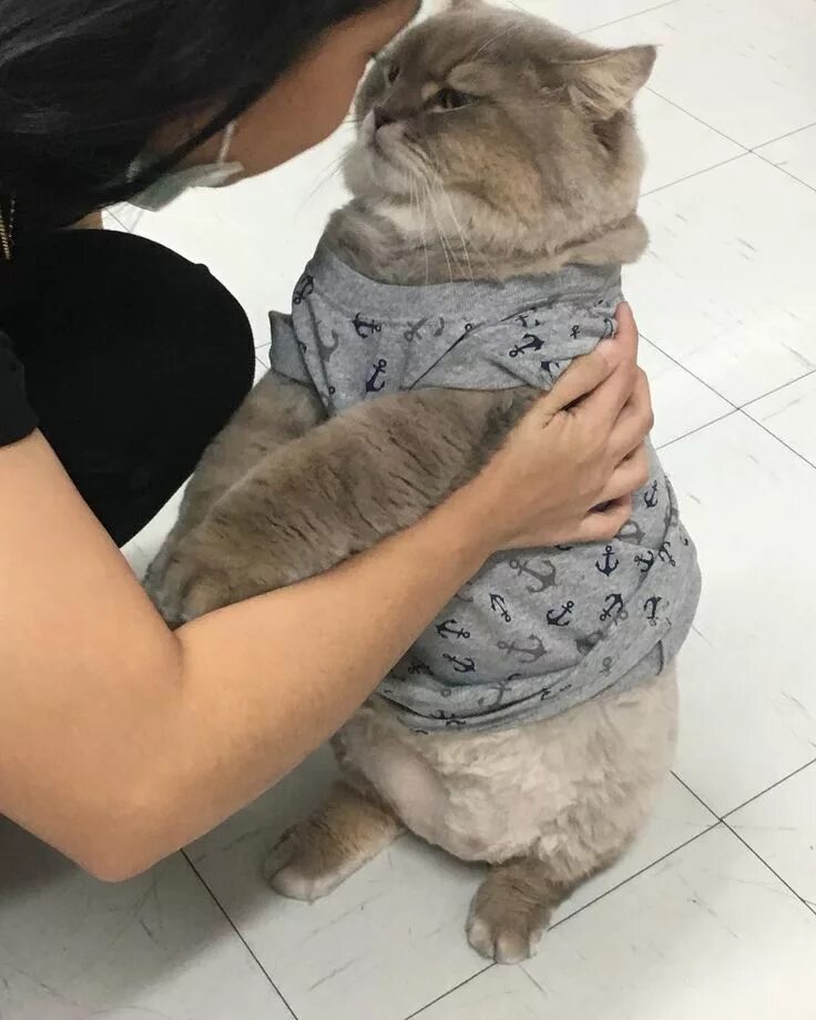 Bone bone cat