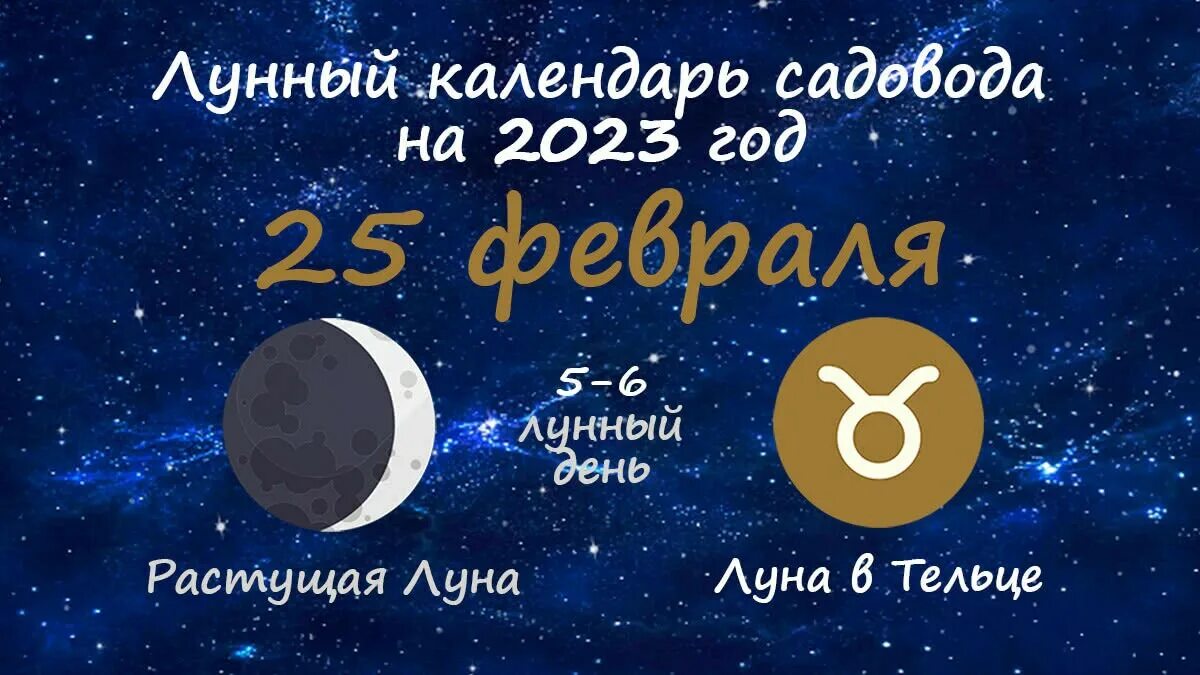Растущая Луна. Фазы Луны в 2023 году. Растущая Луна в феврале. Фазы Луны в феврале 2023. Лунный день сегодня 2023 год