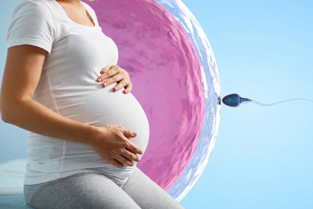 Эко экстракорпоральное оплодотворение. Эко беременность. Экстракорпоральное оплодотворение IVF. Сколько стоит суррогатное материнство 2024
