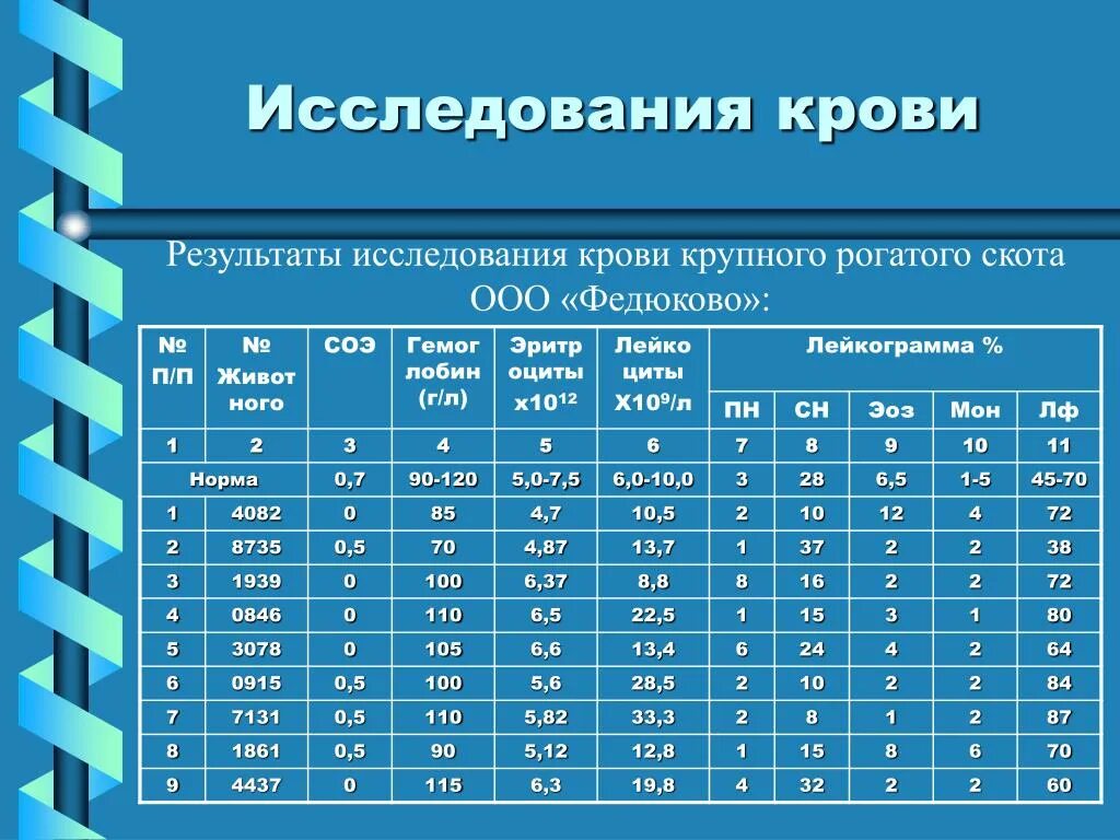 Биохимия сыворотки крови. Биохимические показатели сыворотки крови коров нормы. Показатели крови у животных. Биохимические показатели крови животных. Результаты иследованиясыворотки крови.