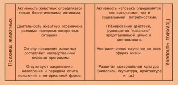 Чем отличается сознание человека от животного. Чем отличается сознание человека от животного