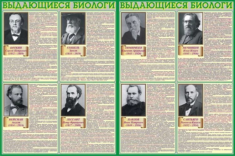 Ученые биологии 9 класс. Выдающиеся биологи. Знаменитые биологи. Известные ученые в биологии. Выдающиеся биологи стенд.