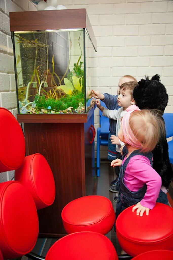 Kinder center. Детский развлекательный центр буденновск. Лагерь зеленоградский. Ооо киндер. Kinder center.