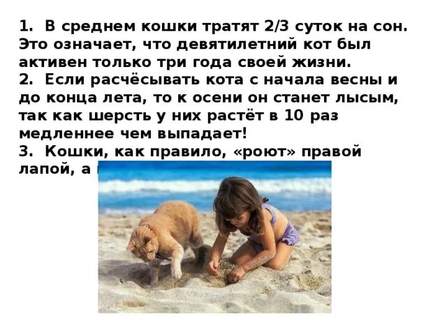 интересные факты о кошках и собаках 2 класс. интересные факты о соб. интересные факты про кошек и собак. интересные факты про кошек и собак. интересные факты о кошках малоизвестные.