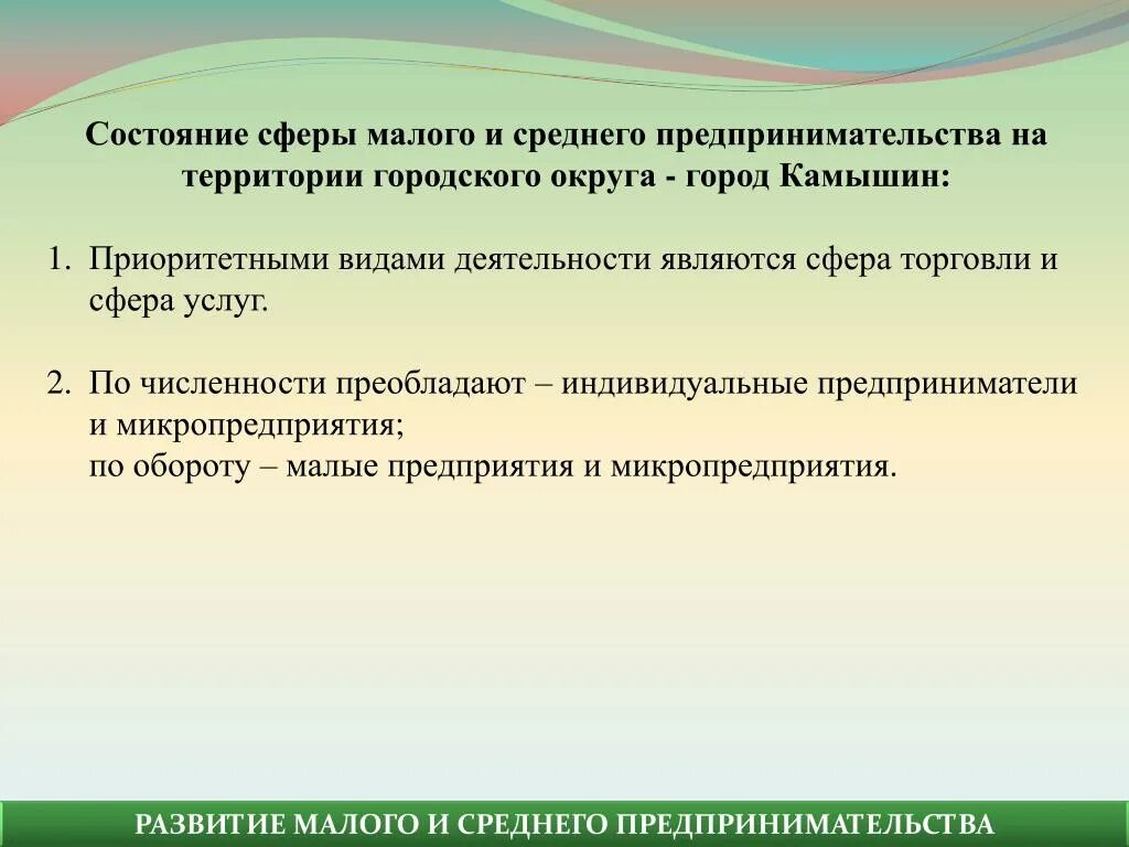 Среднее предпринимательство является. Состояние сферы малого и среднего предпринимательства. Приоритетные виды деятельности. Приоритетные виды деятельности малого бизнеса. Малое и среднее предпринимательство презентация.