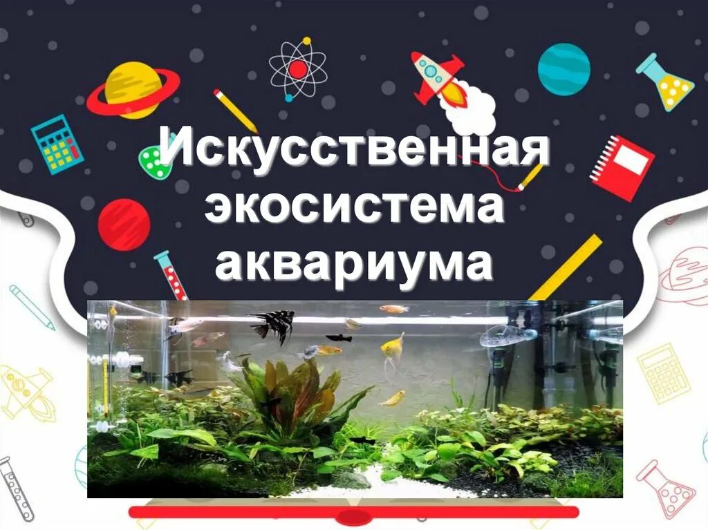 Искусственное сообщество примеры аквариум. Экосистема аквариума. искусственные экосистемы. аквариум - искусственная экосистема в доме. аквариум как экосистема.