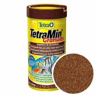 Tetra тетра