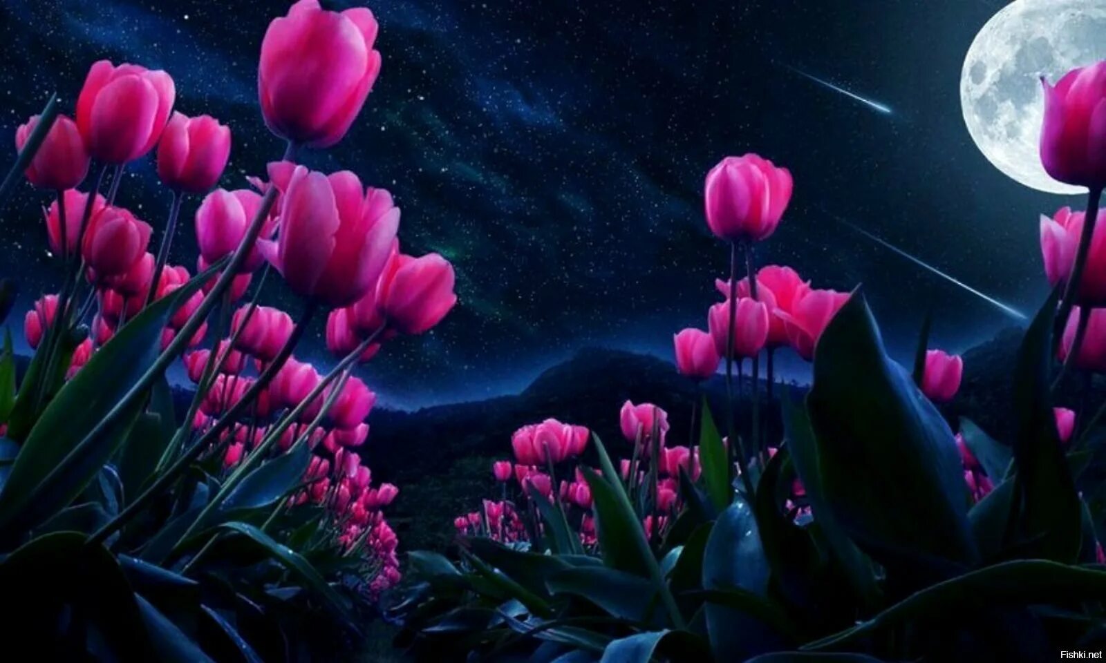Спокойной ночи весенние новые. Ночной цвет. Цветы ночью. Красивые ночные цветы. Спокойной ночи цветы.