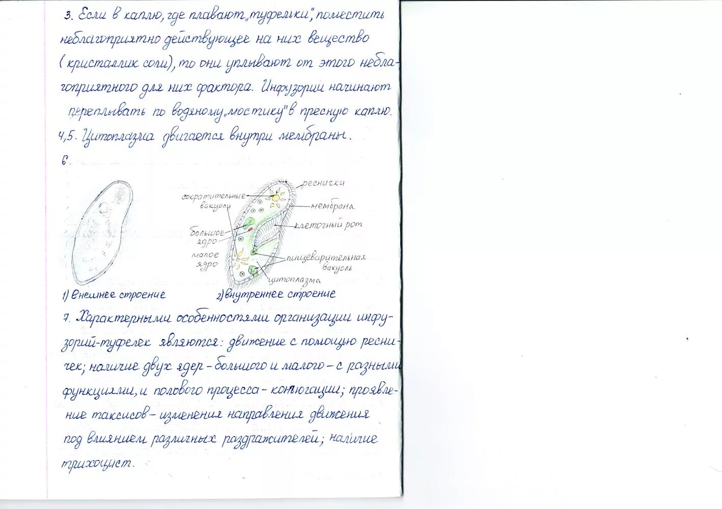 биология 7 класс константинов лабораторная работа. как делать лабораторную работу по биологии 7 класс. лабораторная работа по биологии 7 ответы. лабораторная по биологии 7 латюшин. как писать лабораторную работу по биологии 7 класс.