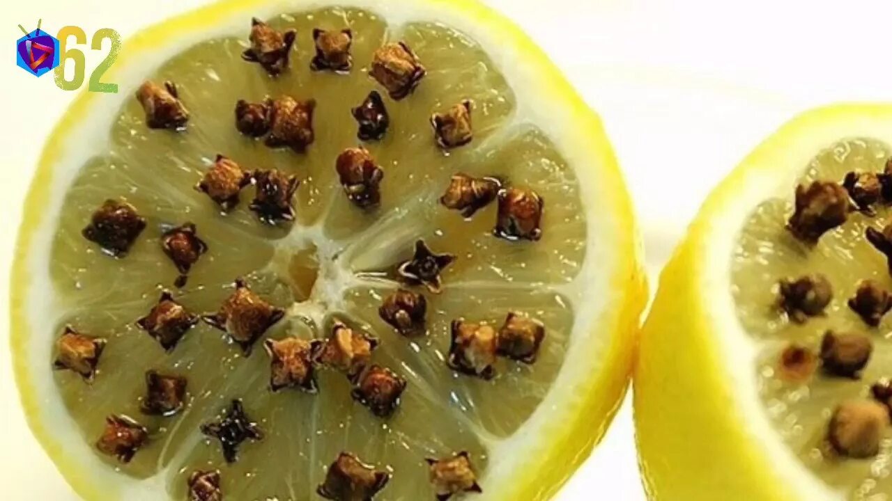 Лимон мошки. Лимон мошки. Фруктовые мошки. Плодовые мушки на фруктах. Лимон мошки.