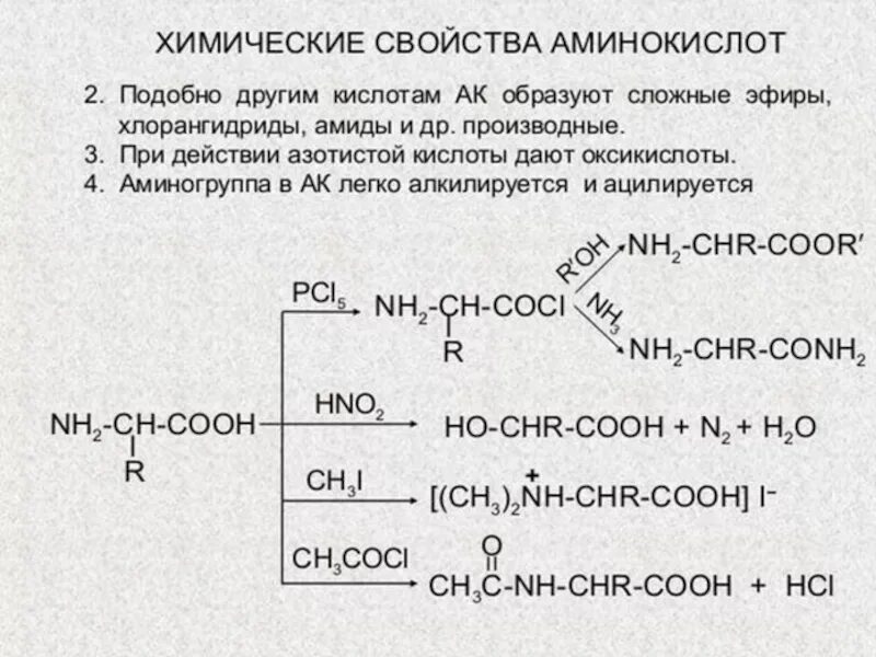 Аминоуксусная кислота уравнение реакции. Химические свойства аминокислот уравнения реакций. Химические свойства аминокислот. Химические свойства аминокислот в химии. Аминокислоты химические свойства и получение.