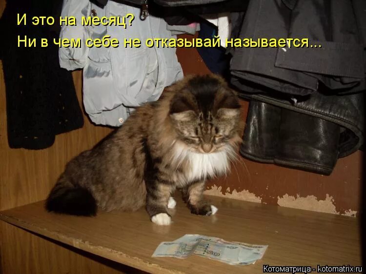 Ни d