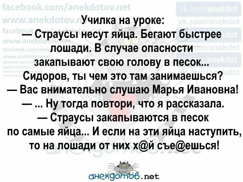 Анекдот про купить. Анекдот про яйца. Анекдоты про яйца смешные. Анекдоты самые смешные про яйца. Анекдот про страуса.