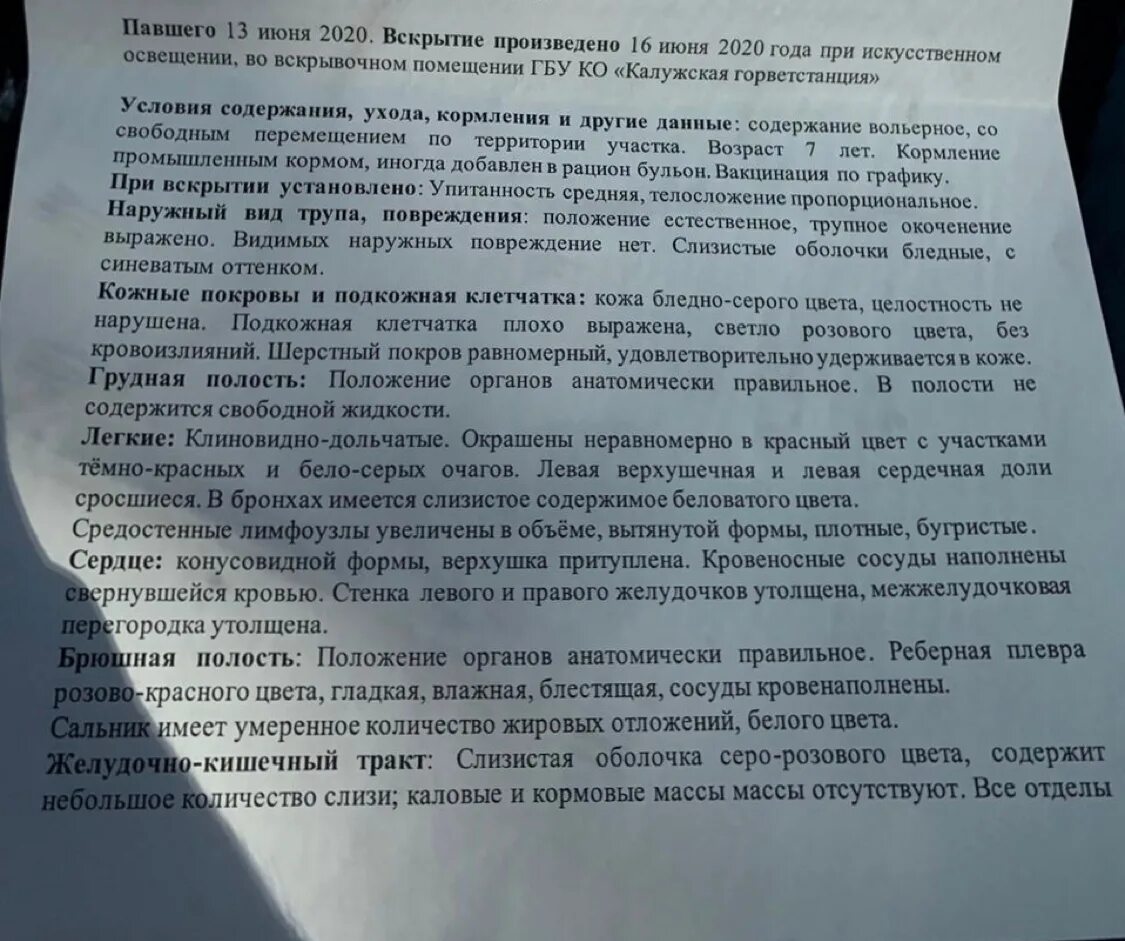 Протокол вскрытия умершего. Акт вскрытия трупа животного. протокол вскрытия собаки.