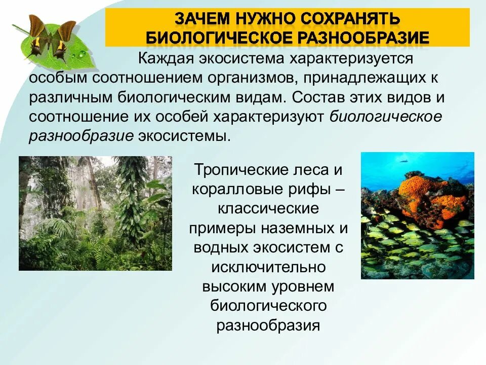 Признаки биологического разнообразия