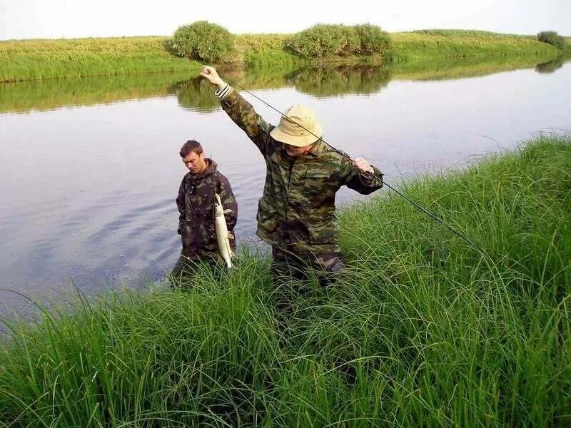 Место для рыбалки. Лучшие места для рыбалки. Рыбалка в деревне. Рыбалка в камышах. Группа клев