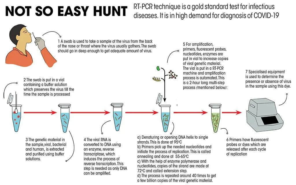Test of can. Pcr тест. rt pcr test. pcr test covid. what is a test.